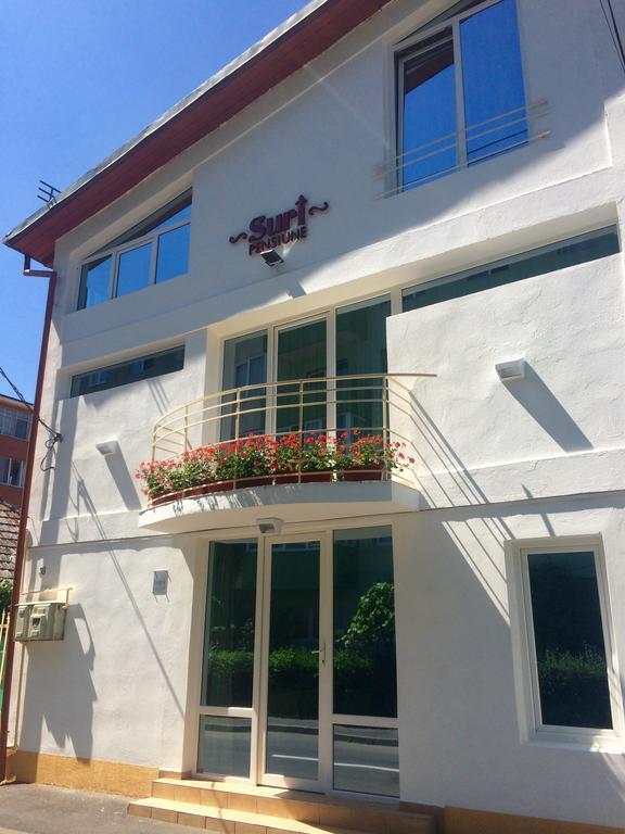 Suri Guesthouse Braszów Zewnętrze zdjęcie